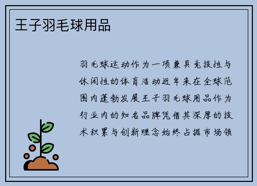 王子羽毛球用品