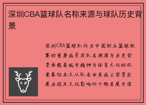 深圳CBA篮球队名称来源与球队历史背景